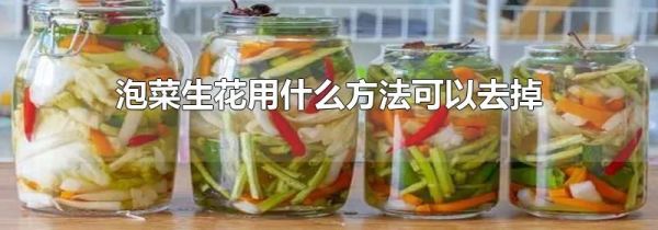 泡菜生花用什么方法可以去掉