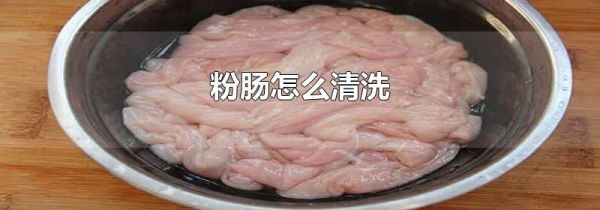 粉肠怎么清洗
