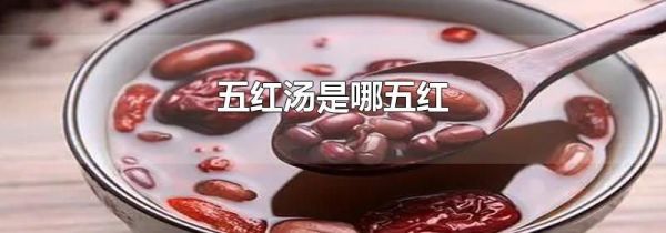 五红汤是哪五红