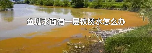 鱼塘水面有一层铁锈水怎么办