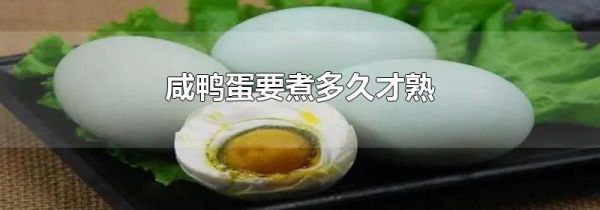 咸鸭蛋要煮多久才熟