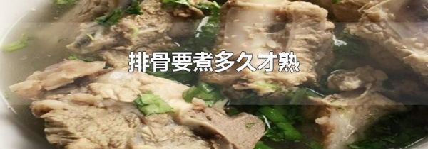 排骨要煮多久才熟