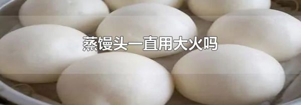 蒸馒头一直用大火吗