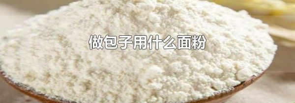 做包子用什么面粉