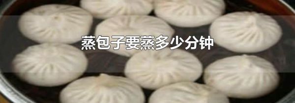 蒸包子要蒸多少分钟