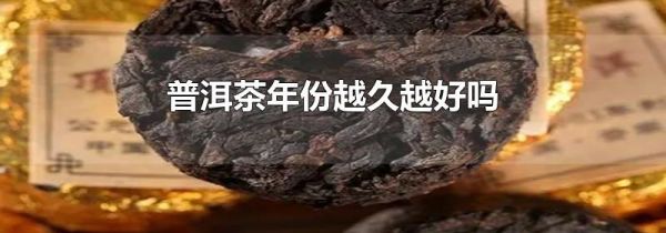 普洱茶年份越久越好吗
