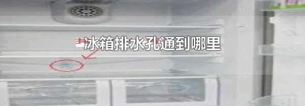 冰箱排水孔通到哪里
