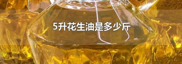 5升花生油是多少斤