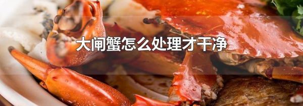 大闸蟹怎么处理才干净