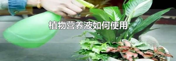 植物营养液如何使用