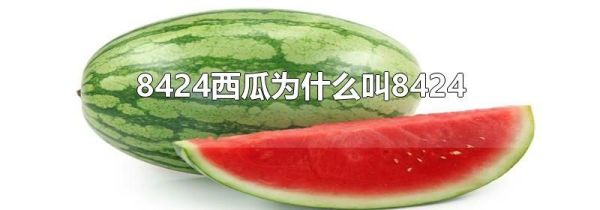 8424西瓜为什么叫8424
