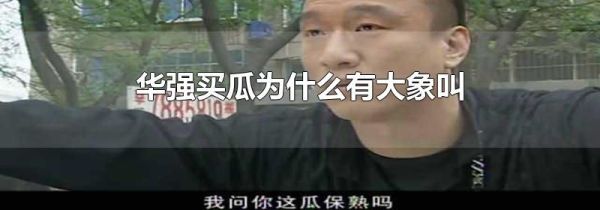 华强买瓜为什么有大象叫