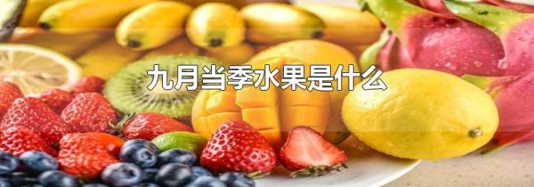 九月当季水果是什么