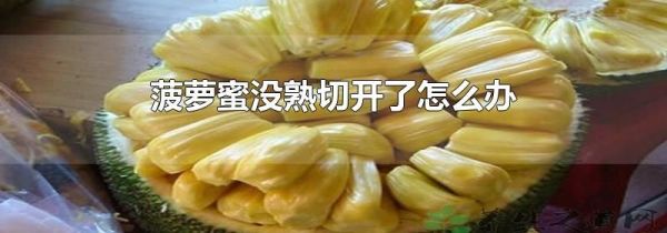 菠萝蜜没熟切开了怎么办