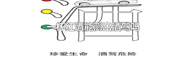 一杯红酒能测出酒驾吗