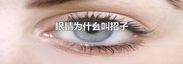 眼睛为什么叫招子