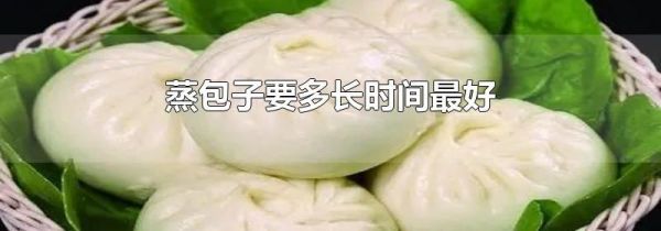 蒸包子要多长时间最好