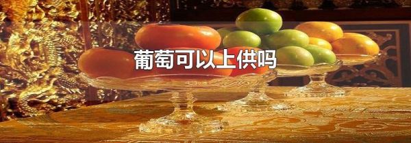 葡萄可以上供吗