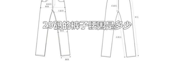 29码的裤子腰围是多少