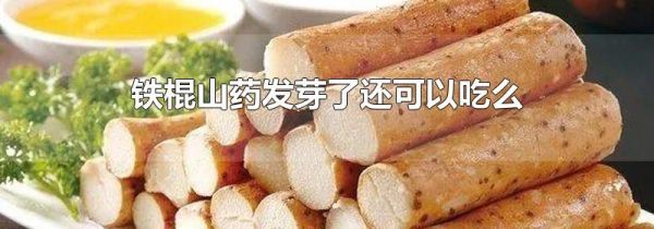 铁棍山药发芽了还可以吃么