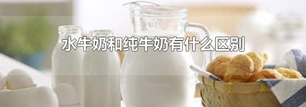 水牛奶和纯牛奶有什么区别