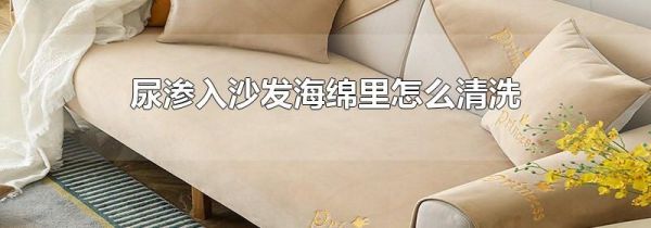 尿渗入沙发海绵里怎么清洗