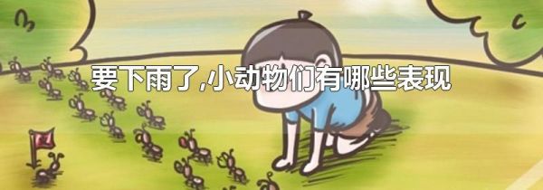 要下雨了,小动物们有哪些表现