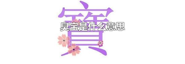 臭宝是什么意思
