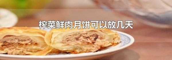 榨菜鲜肉月饼可以放几天