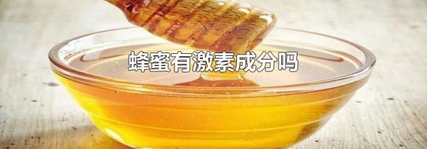 蜂蜜有激素成分吗