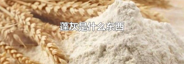 蓬灰是什么东西