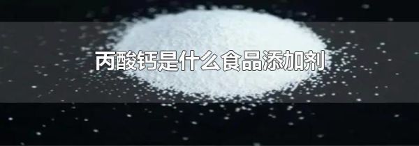 丙酸钙是什么食品添加剂