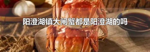 阳澄湖镇大闸蟹都是阳澄湖的吗