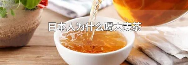 日本人为什么喝大麦茶