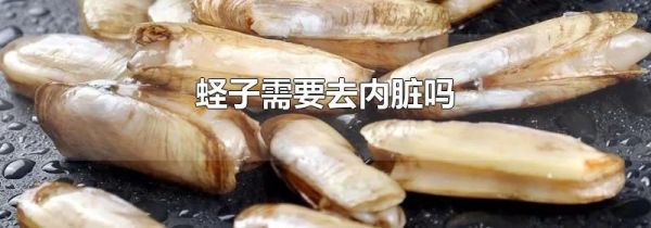 蛏子需要去内脏吗