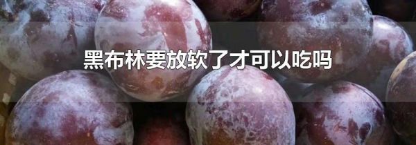 黑布林要放软了才可以吃吗