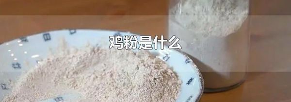 鸡粉是什么