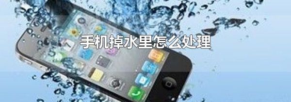 手机掉水里怎么处理