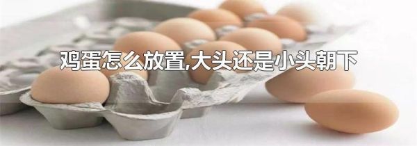 鸡蛋怎么放置,大头还是小头朝下