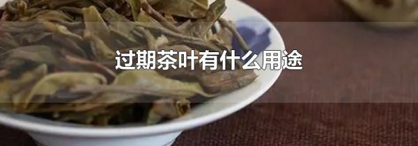 过期茶叶有什么用途