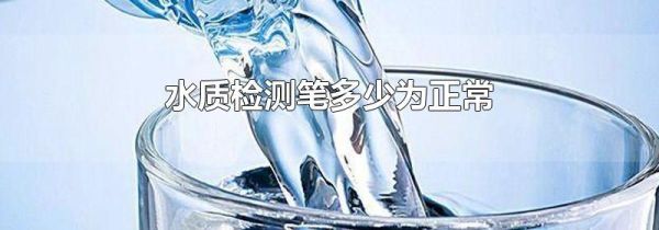 水质检测笔多少为正常