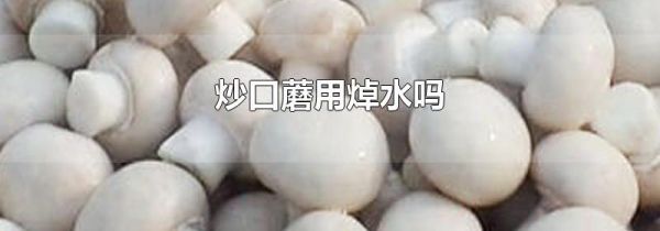 炒口蘑用焯水吗