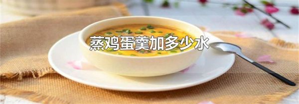 蒸鸡蛋羹加多少水