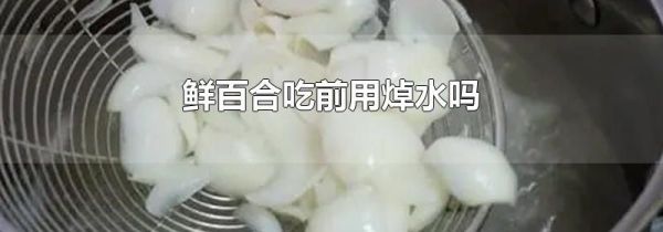 鲜百合吃前用焯水吗