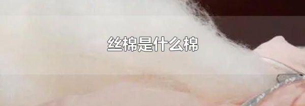 丝棉是什么棉
