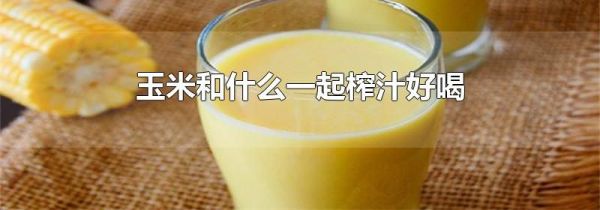 玉米和什么一起榨汁好喝