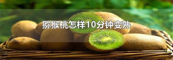 猕猴桃怎样10分钟变熟