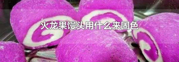 火龙果馒头用什么来固色