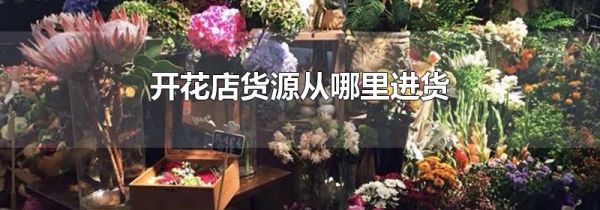开花店货源从哪里进货