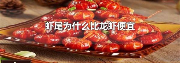 虾尾为什么比龙虾便宜
